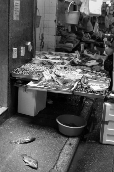 Fish in Hong Kong